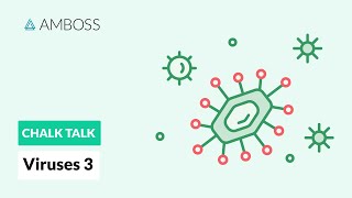 Viruses  Part 3 Viral Replication Process [upl. by Esor]