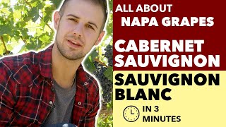 Cabernet Sauvignon amp Sauvignon Blanc  All About The Grapes from Napa amp Beyond [upl. by Neirol]