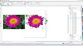 How to Make Clipart from a Photo with CorelDRAW PC [upl. by Suiravaj65]