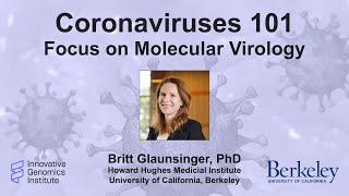 Coronaviruses 101 Focus on Molecular Virology [upl. by Nolyaw]