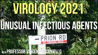 Virology Lectures 2021 24  Unusual Infectious Agents [upl. by Duquette]