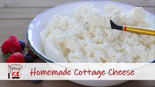 The Easiest Cottage Cheese Recipe Ever Only 1 Ingredient [upl. by Claybourne225]