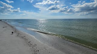 LIVE CALADESI ISLAND FLORIDA [upl. by Wahkuna205]