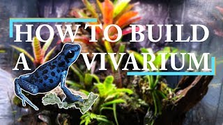 THE ULTIMATE VIVARIUM BUILD  Drylok Background [upl. by Daniell]