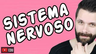 SISTEMA NERVOSO  FISIOLOGIA  Aula  Biologia com Samuel Cunha [upl. by Glick114]