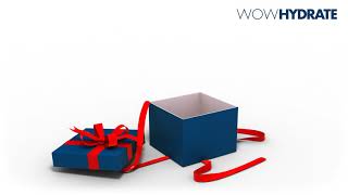 Gift Box Animation [upl. by Rugen]