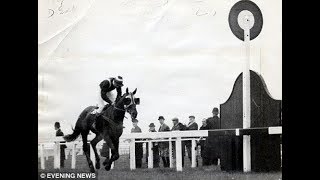 The BBC Grand National 1967  Foinavon Full Race [upl. by Ilahtan]