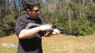 FX Verminator MK1 Tactical 22 caliber  Review [upl. by Aicile]