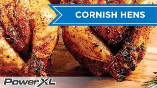 Rotisserie Cornish Hens  PowerXL Air Fryer Oven Recipes [upl. by Mandy]