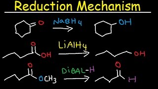 NaBH4 LiAlH4 DIBAL Reduction Mechanism Carboxylic Acid Acid Chloride Ester amp Ketones [upl. by Atsocal]