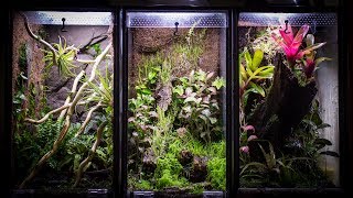 Aquarium to 10 Gallon Vertical Vivarium [upl. by Lathan897]