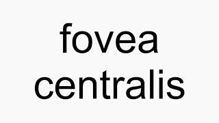 How to pronounce fovea centralis [upl. by Anilecram]