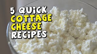 5 Quick Cottage Cheese Recipes [upl. by Eceinaj]