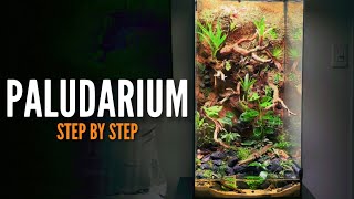 How to build a Paludarium Vivarium [upl. by Karena]