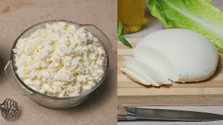 Cottage Cheese Recipe  Homemade Cottage Cheese [upl. by Nnairam]