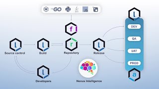 How the Nexus Platform Works [upl. by Nuahsel]