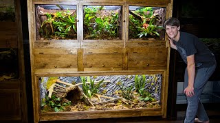 Easy DIY Plywood Reptile Enclosures [upl. by Dlaniger783]