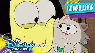 Every Animal Tilly Fell In Love With 😍  Compilation  Big City Greens  Disney Channel [upl. by Elane]