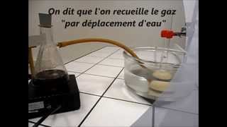 Recueillir un gaz par déplacement deau [upl. by Trixie]