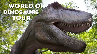 🔴 LIVE at the ZOO World of Dinosaurs [upl. by Itsirhc689]