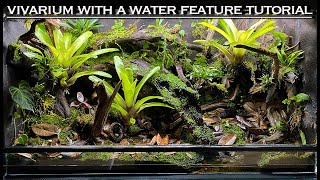 EPIC Vivarium With a Water Feature Bioactive Tutorial [upl. by Aisetal]