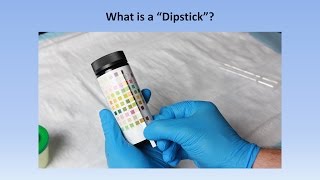 Interpretation of the Urinalysis Part 2  The Dipstick [upl. by Yeltihw]