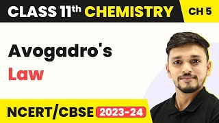 Class 11 Chemistry Chapter 5  Avogadros Law  States of Matter  Class 11 Chemistry CBSENCERT [upl. by Clie115]