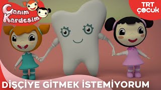 Canım Kardeşim  Dişçiye Gitmek İstemiyorum [upl. by Negiam]