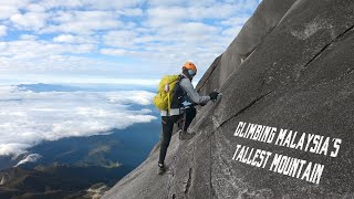 THE CRAZIEST HIKE EVER  Travel Guide to Mount Kinabalu Via Ferrata Lows Peak Circuit 4K [upl. by Baggett550]