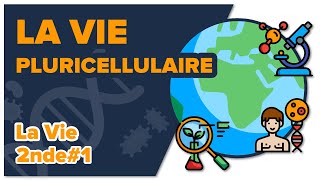 La vie pluricellulaire  SVT  LA VIE 2nde 1 Mathrix [upl. by Aloibaf831]