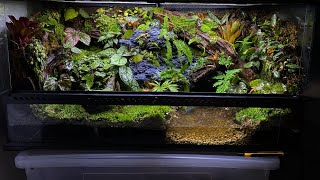 PALUDARIUM TUTORIAL  Step by step [upl. by Yelime12]