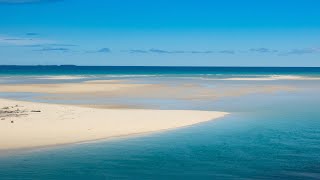 Honeymoon Island amp Caladesi Island State Parks FL [upl. by Rosenblast]