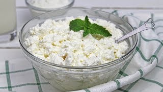 Homemade Cottage Cheese  How To Make Cottage Cheese  Homemade Row Milk Cottage Cheese [upl. by Rosemari524]