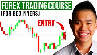 The Ultimate Forex Trading Course For Beginners [upl. by Ikey14]