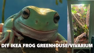 DIY IKEA GreenhouseVivarium for Whites Tree Frogs [upl. by Guthry]