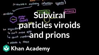 Subviral particles viroids and prions  Cells  MCAT  Khan Academy [upl. by Ekle]