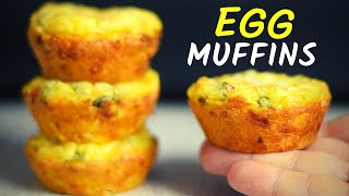 COTTAGE CHEESE AND EGG MUFFINS An easy way to add protein to your breakfast [upl. by Anirbak]