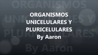 Los organismos unicelulares y pluricelulares [upl. by Namron352]