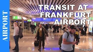 TRANSIT WALK AT FRANKFURT Airport FRA Terminal 1  Connection Flight Transfer Arriving amp Departing [upl. by Enidanreb]