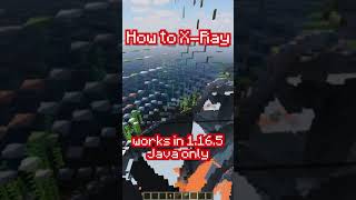 How to XRAY in Minecraft Without cheats [upl. by Idner449]