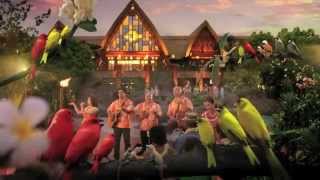 Disney Resort Aulani [upl. by Aketahs]