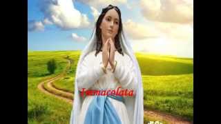 Immacolata Vergine Bella  Realizzazione video Gabriella Di Carlo [upl. by Renate957]