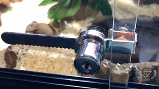 HOW TO INSTALL A VIVARIUM LOCK [upl. by Boland]